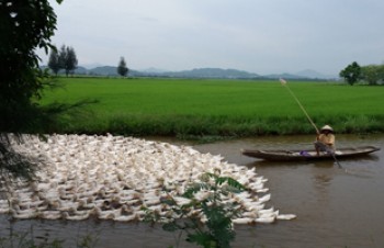 Hue, son héritage, sa nature et ses peuples